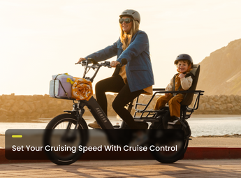 Abound LR Ebike