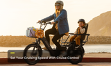 Abound LR Ebike