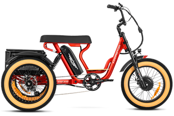 addmotor electric bicycle AddMotor Soletri Trike 750W Rear Drive – Coastal eBike Company