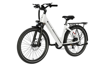 mountainbike asphalt Mokwheel Asphalt ST 2.0 48V 500W – Coastal eBike Company