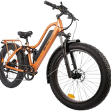 BEE COOL EXPLORER 48V 750W
