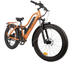 BEE COOL EXPLORER 48V 750W