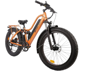 BEE COOL EXPLORER 48V 750W