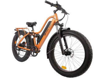 BEE COOL EXPLORER 48V 750W