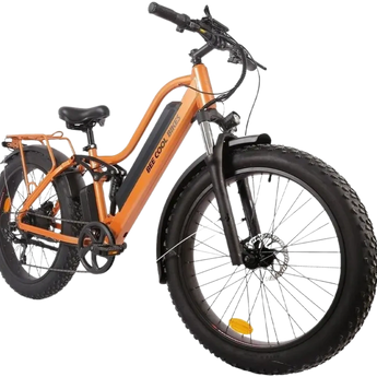 BEE COOL EXPLORER 48V 750W