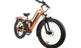 BEE COOL EXPLORER 48V 750W