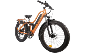 BEE COOL EXPLORER 48V 750W