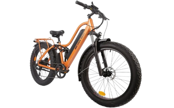 BEE COOL EXPLORER 48V 750W