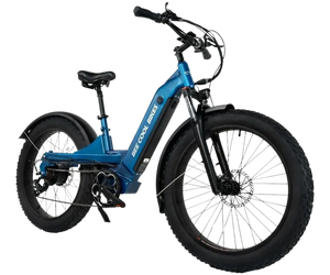 BEE COOL PATHFINDER STEP THRU 48V 750W