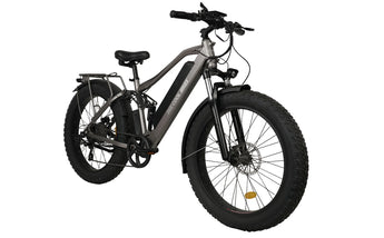 e mtb fully 750 watt BEE COOL ADVENTURER 48V 750W Full Suspension – Coastal eBike Company