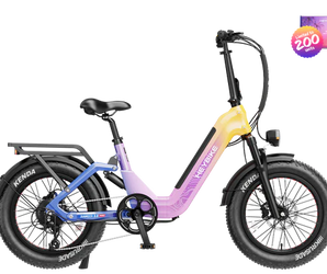 Heybike Ranger 3.0 Pro Limited Miami Sunset