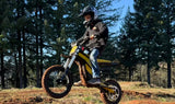 Heybike Villain