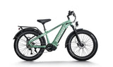 Green electric bike on a white background