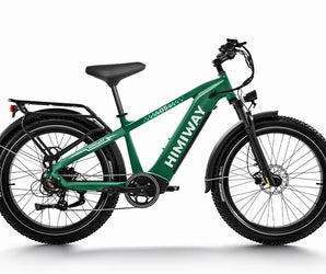 A green Himiway D5 electric bike with a step-over frame, integrated headlight and taillight, and a rear rack.