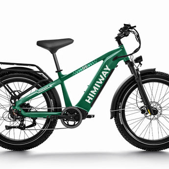 A green Himiway D5 electric bike with a step-over frame, integrated headlight and taillight, and a rear rack.