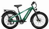A green Himiway D5 electric bike with a step-over frame, integrated headlight and taillight, and a rear rack.