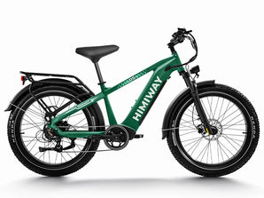 A green Himiway D5 electric bike with a step-over frame, integrated headlight and taillight, and a rear rack.