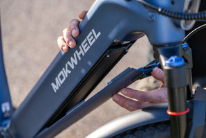 Mokwheel Tarmac 48V 15Ah Battery