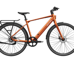 FLINT PRO Ebike
