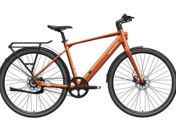 FLINT PRO Ebike