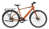 FLINT PRO Ebike