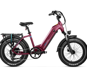 Magicycle Ocelot Pro 2.0 Torque 52V 750W Step Thru Electric Bike