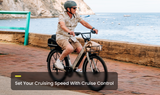 Pace 4 Step-Through Ebike