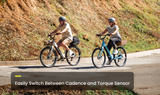 Pace 4 Step-Through Ebike