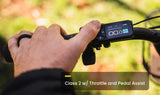 Pace 4 Step-Through Ebike
