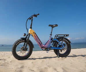Heybike Ranger 3.0 Pro Limited Miami Sunset
