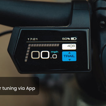 Ramblas Ebike