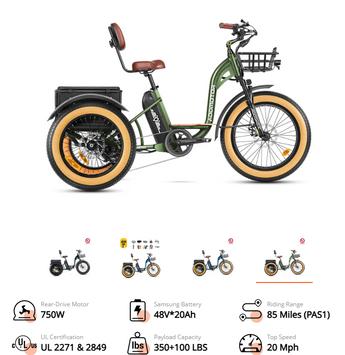 trike elektrofahrrad Grandtan M-340 eTrike 750W Rear Motor Electric Trike with Front Suspen – Coastal eBike Company