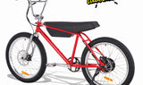 Zooz Ultra Urban Electric Bike