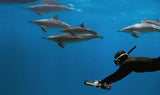 Waydoo Subnado Plus High-Power Underwater Scooter