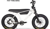 Zooz ZOOPER Fat Tire Moped Style Electric Bike