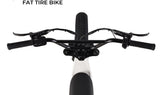 Zooz ZOOPER Fat Tire Moped Style Electric Bike