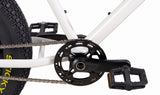 Zooz ZOOPER Fat Tire Moped Style Electric Bike