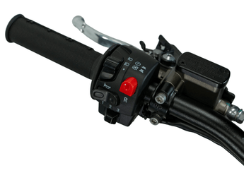 Arctic Leopard XE PRO R