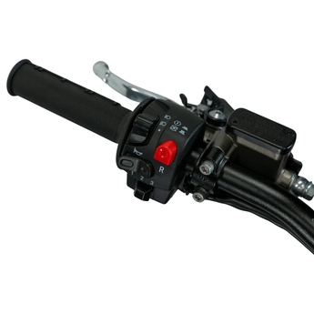 Arctic Leopard XE PRO R