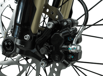Arctic Leopard XE PRO R