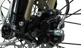 Arctic Leopard XE PRO R