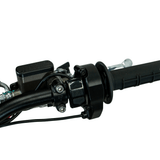 Arctic Leopard XE PRO R