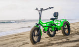 AddMotor Arisetan Semi Recumbent Trike 750W Rear Drive
