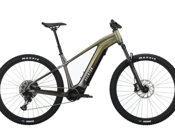 Ramblas Ebike