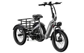 Mokwheel Granite Trike 48V 500W Rear Drive