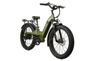 BEE COOL PATHFINDER STEP THRU 48V 750W