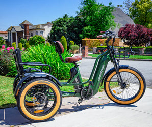 GREATTAN L M-370L Dual-Battery Electric Trike with Passenger Seat