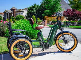 electric bicycle with passenger seat Addmotor Greattan Dual-Battery Trike for Adult | Fat Tire Built-in Battery Design Electric Tricycle | Up to 160+ Miles Range Dooney & Bourke Ronnie preston innovations net head through frame for easy COLOR:SILVER