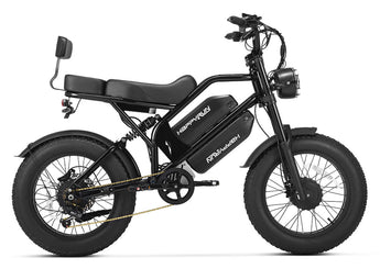 HappyRun G70 Pro Dual-Motor Dual-Battery Electric Cargo Bike