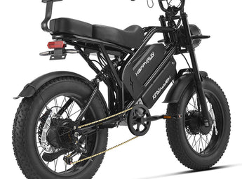 HappyRun G70 Pro Dual-Motor Dual-Battery Electric Cargo Bike
